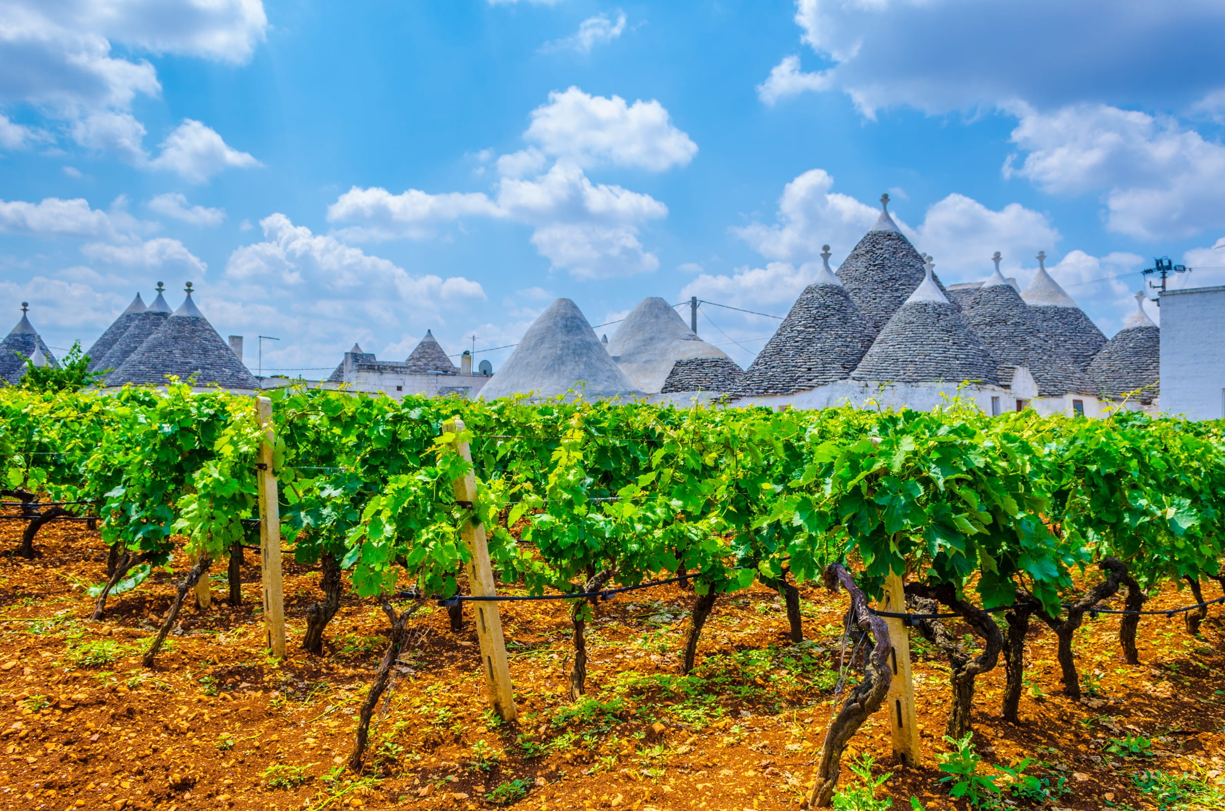 azienda-puglia